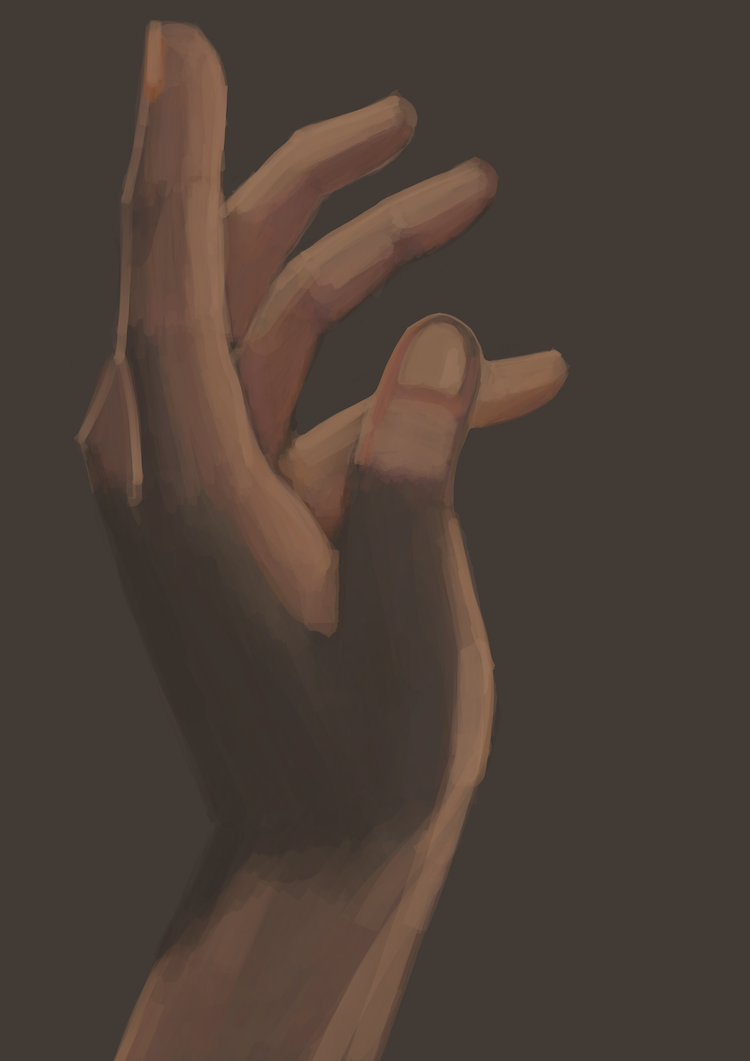 digital illustration; procreate and ipad